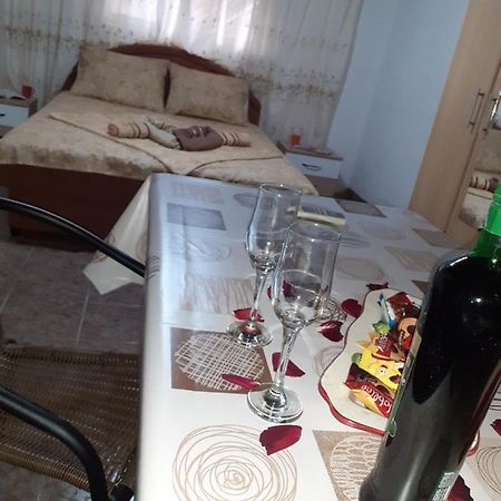 Studio-Apartman Milena 2 Подгорица Экстерьер фото